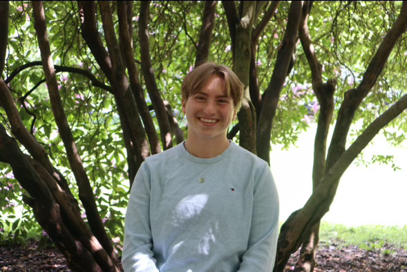 Grey Willson image
